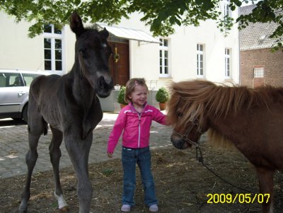 Unsere Tochter Charlotte mit ihrem Pony und einem Hengstfohlen v. Desperados